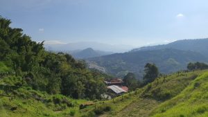 WhatsApp Image 2024-01-03 at 4.09.45 PM (3)